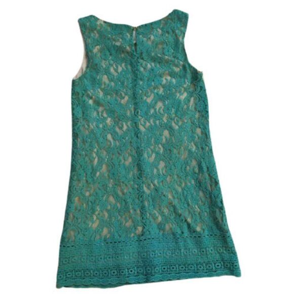 Anthro Champagne and Strawberry Lace Dress Floral Blue Shift Summer Size S - Picture 3 of 9